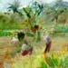 014 Emerging