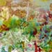021 Color Explosion